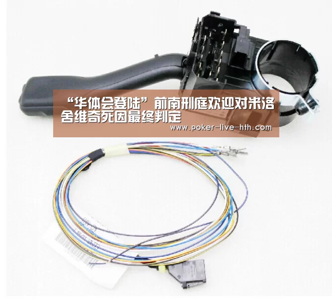 “华体会登陆”前南刑庭欢迎对米洛舍维奇死因最终判定(图1) 华体会登陆
